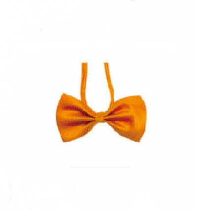 BT019 customized suit bow tie online order formal bow tie manufacturer side view